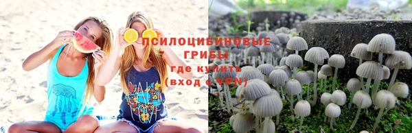 синтетический гашиш Нефтегорск