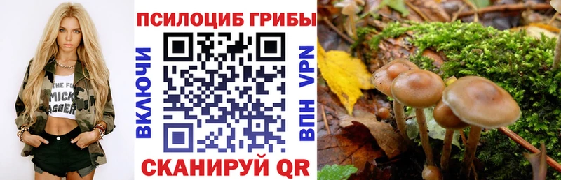 Псилоцибиновые грибы Psilocybine cubensis  где купить наркоту  Сычёвка 